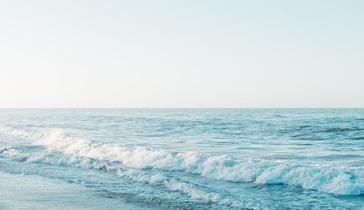 飼ってはいけない小型犬ランキング！初心者でも手がかからない室内犬は？