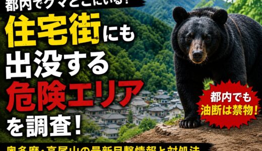 都内でクマどこにいる？住宅街にも出没する危険エリアを調査！